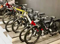 Riese Müller Fietsen Gezocht 1 tot 4 stuks Damesfietsen Herenfietsen ets Riese Müller Fietsen Gezocht 1 tot 4 stuks Damesfietsen Herenfietsen ets