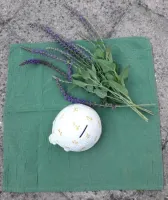 Spaarpot schildpad ontzettend leuk gedecoreerd van keramiek.
