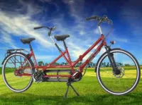 Staerk Tandem Gezocht Gevraagd 