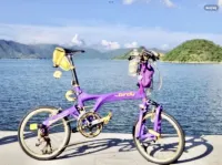 Riese Birdy Müller Vouwfietsen Gezocht Gevraagd als op Foto 